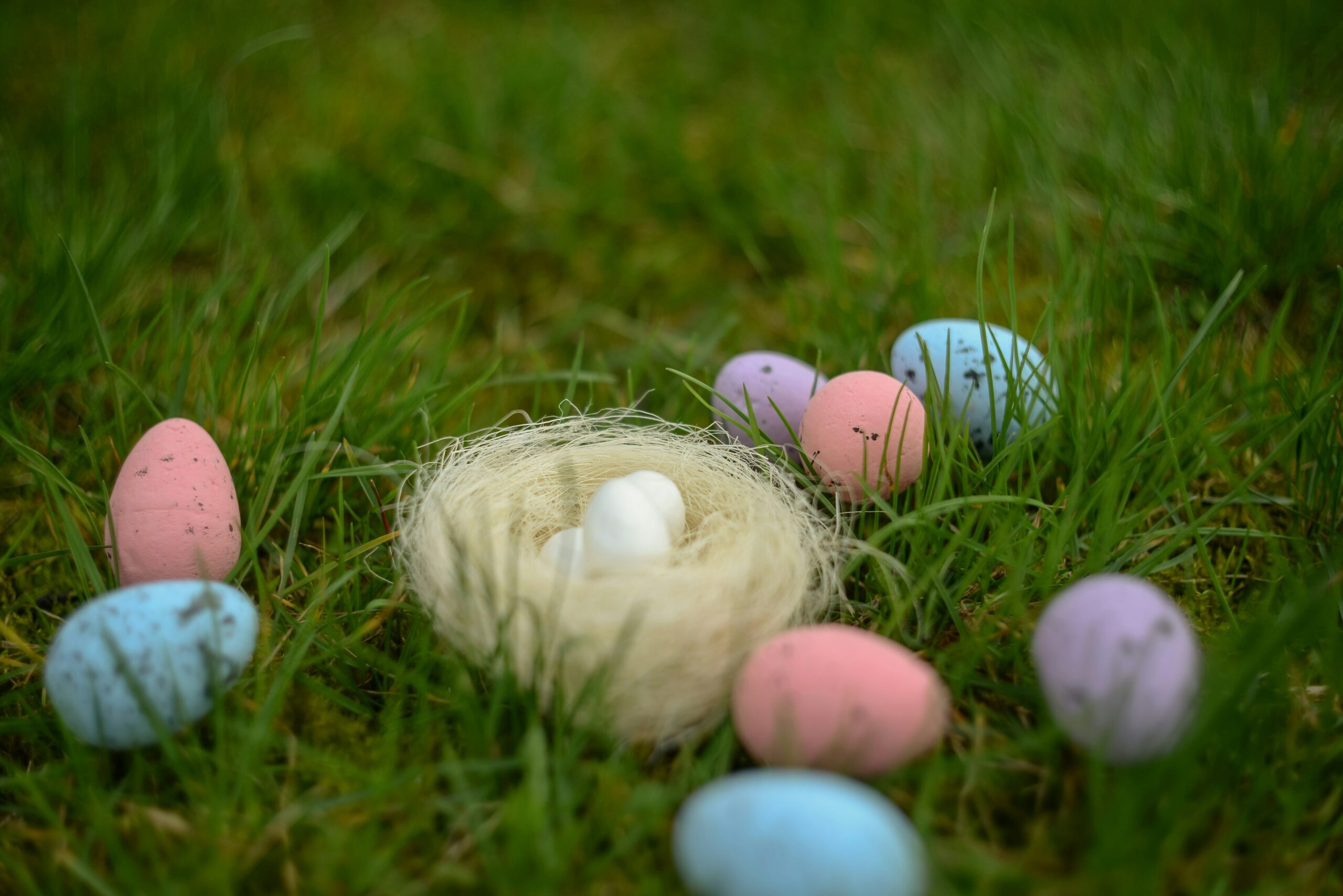 easter eggs on grass