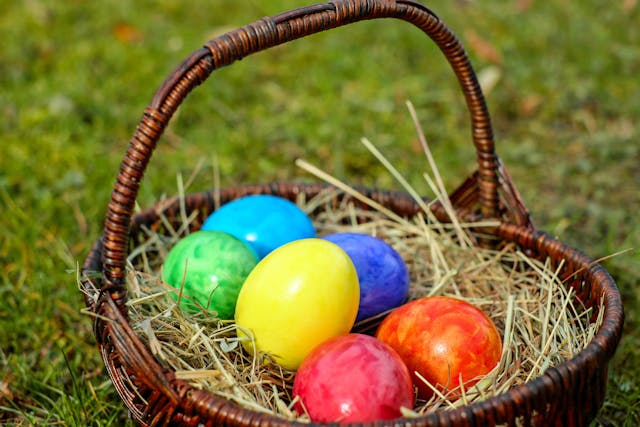 colourful easter eggs on in basket laying on a grass at Belfast